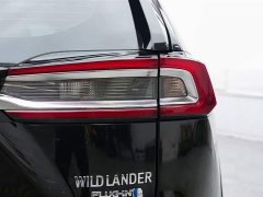 Weilanda New Energy Wilanda New Energy 2021 High-Performance Version 2.5L Two-wheel Drive Powerful Version - фото 15
