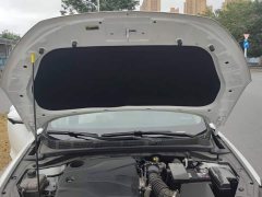 Ford EADO 2024 PLUS Blue Whale NE 1.4T GDI DCT High Energy Edition - фото 10