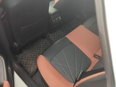 Ford EADO 2024 PLUS Blue Whale NE 1.4T GDI DCT High Energy Edition - фото 11