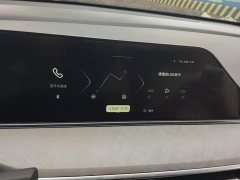 Ford EADO 2024 PLUS Blue Whale NE 1.4T GDI DCT High Energy Edition - фото 13