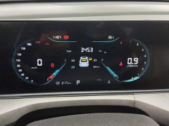 Ford EADO 2024 PLUS Blue Whale NE 1.4T GDI DCT High Energy Edition - фото 14