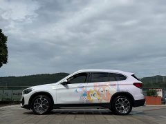 BMW X1 sDrive25Li Leading - фото 10