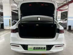 BYD PLUS EV 500KM Luxury Version - фото 8