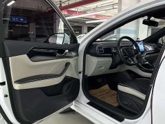 BYD PLUS EV 500KM Luxury Version - фото 9