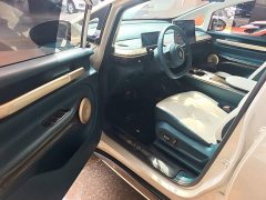 Baojun Yunduo 2023 460 Pro - фото 16