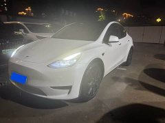 Tesla Model Y rear-wheel drive version - фото 1