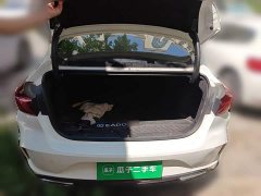 Ford EADO PLUS Blue Whale NE 1.4T GDI DCT flagship - фото 10