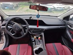 Ford EADO PLUS Blue Whale NE 1.4T GDI DCT flagship - фото 13