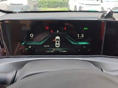 Ford EADO PLUS Blue Whale NE 1.4T GDI DCT flagship - фото 4