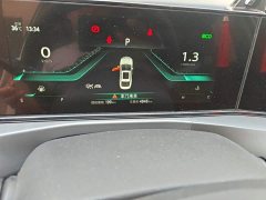 Ford EADO PLUS Blue Whale NE 1.4T GDI DCT flagship - фото 5