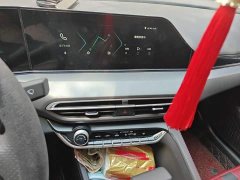 Ford EADO PLUS Blue Whale NE 1.4T GDI DCT flagship - фото 6