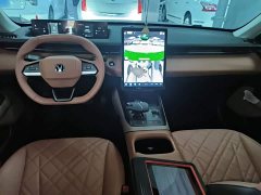 Ford Eado 1.5T GDI automatic flagship - фото 10