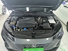 Ford Eado 1.5T GDI automatic flagship - фото 20