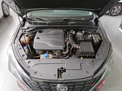 Ford Eado 2023 Enjoy Edition PLUS Blue Whale NE 1.4T GDI DCT Premium Edition - фото 20