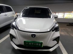 Changan Benben E-Star 2020 Heartbeat Edition ternary lithium - фото 3