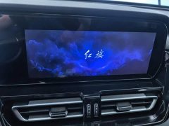 Hongqi HS5 2023 2.0T Qixiang Pro version - фото 13