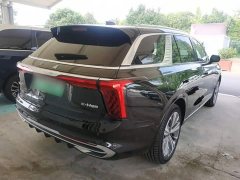 Hongqi E-HS9 460km flagship version six seats - фото 7