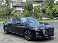 Hongqi H5 2023 1.5T DCT Zhilian Qiyun Edition - фото 3