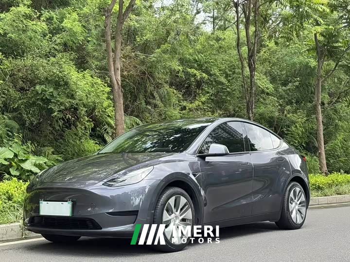 Tesla Model Y long-range all-wheel drive version - автомобиль из Китая