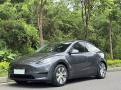 Tesla Model Y long-range all-wheel drive version - фото 1