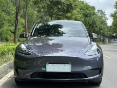 Tesla Model Y long-range all-wheel drive version - фото 2