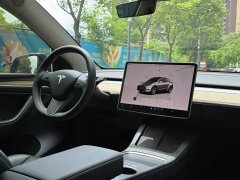 Tesla Model Y long-range all-wheel drive version - фото 7