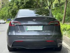 Tesla Model Y long-range all-wheel drive version - фото 9