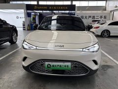 smart Elf #3 Pulse four-wheel drive version - фото 2