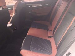 Ford Eado Enjoy Edition PLUS Blue Whale NE 1.4T GDI DCT Premium Edition - фото 8