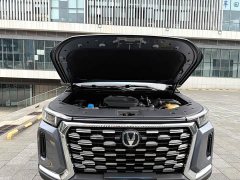 Changan Hunter Warrior Edition Luxury Single Motor Extra Long Box - фото 9