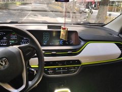 Changan Benben E-Star 2020 Xinyue Edition ternary lithium - фото 13