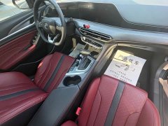 Ford EADO PLUS Blue Whale NE 1.4T GDI DCT Premium Type - фото 12