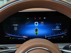 Hongqi H9 2020 2.0T Zhilian Flagship Edition - фото 10