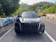 Hongqi HS5 2023 2.0T Qixiang Pro version - фото 2
