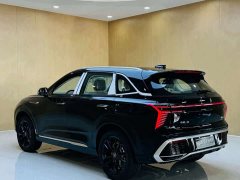 Hongqi HS3 PHEV 125km Jinwei PLUS 2 million commemorative edition - фото 13