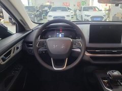 Hongqi E-QM5 610km PLUS - фото 15
