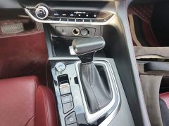 Ford EADO PLUS Blue Whale NE 1.4T GDI DCT Premium Type - фото 14