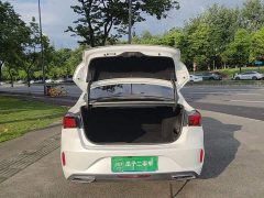 Ford EADO PLUS Blue Whale NE 1.4T GDI DCT Premium Type - фото 19