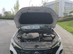 Ford EADO PLUS Blue Whale NE 1.4T GDI DCT Premium Type - фото 20