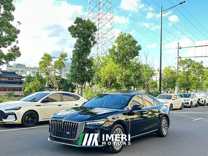 Hongqi H5 2.0T Automatic Zhilianqichang Edition - автомобиль из Китая