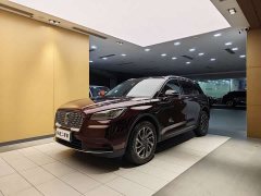 Adventurer 2021 2.0T two-wheel drive exclusive edition - фото 1