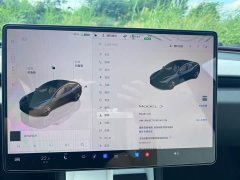 Tesla Model 3 rear-wheel drive version - фото 8