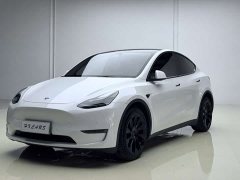 Tesla Model Y long-range all-wheel drive version - фото 1
