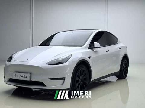 2021 Model Y 2021 long-range all-wheel drive version - автомобиль из Китая