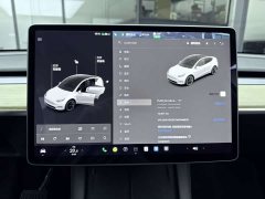 Tesla Model Y long-range all-wheel drive version - фото 14
