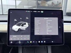 Tesla Model Y long-range all-wheel drive version - фото 15
