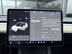 Tesla Model Y long-range all-wheel drive version - фото 16