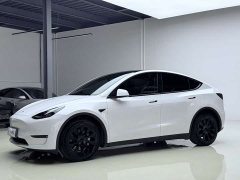 Tesla Model Y long-range all-wheel drive version - фото 2