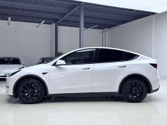 Tesla Model Y long-range all-wheel drive version - фото 3