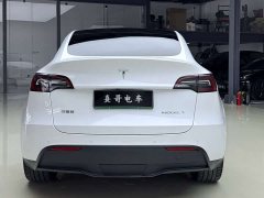 Tesla Model Y long-range all-wheel drive version - фото 5